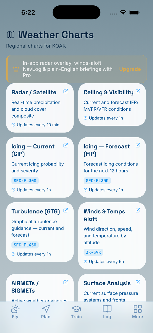 SkyBrief weather charts